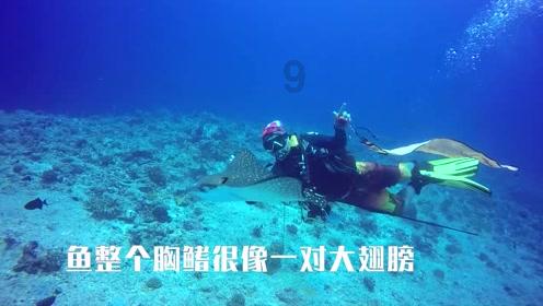 女孩去相亲,,男孩和女孩姑姑是一个村的,,女孩父母会打听男孩情况吗,-专业的有问必答平台